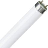 Philips 36 Watt Snow White Floresan Ampul 25Lik Koli