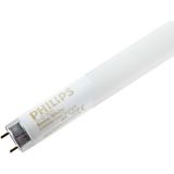 Philips 36W G13 Duylu T8 Philips Floresan 12000K (Kar Beyazı)