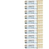 Philips 36W Snow White 12000K (Beyaz Isik) G13 Duylu Floresan (10 Adet)