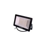 Philips 50W LED Projektör 6500K Beyaz Işık LED50