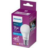 Philips 75 W 6500K Beyaz Işık E27 Normal Duy Led Ampul