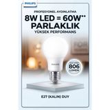Philips 8W (60W Eşdeğeri) E27 Kalın Duy LED Ampul 806 Lümen 6400K Beyaz Işık