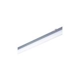 Philips 919933021301 49W Led Etanj Armatür 4000K 150cm WT066C