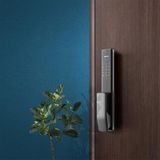 Philips Easykey Alpha-5HB Bas Çek Akıllı Kilit