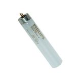 Philips Floresan Ampul 36 W. Beyaz Işık Snow White 25 Adet Philips