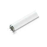 Philips Floresan Ampul T12 G13 40W/10R Matbaa