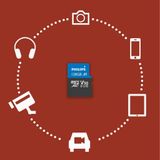 PHILIPS FM12MP65B, 128GB, SDXC, UHS-I, V30, Class10, MicroSD Kart Bellek (SD Adaptörlü)