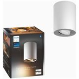 Philips Hue White Ambiance Pillar 1 Spot Extension Akıllı Spot Lamba - Beyaz