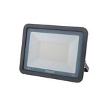 PHILIPS Led Projektör BVP150 LED25/CW 30W 6500K Beyaz Işık