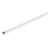 PHILIPS LEDtube T8 600mm 8W G13 Led Floresan Ampul 6500K Beyaz Işık