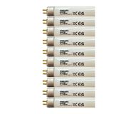 Philips Master T5 Floresan Ampul, 13W, 827, 2700K Sarı Işık, G5 Duylu, 10 Adet