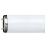 Philips Master TL-D 18-865 Floresan Ampul