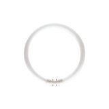 Philips Phılıps Master Tl5 60w/840 4000kelvin Günışığı Simit Floresan