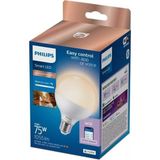 Philips Smart Lighting LED Globe Ampul G95 E27 75W Eşdeğer Rgb - Google Home, Alexa, Homekit ve Matter Uyumlu - Çok Renkli