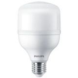 Philips TrueForce 30W E27 6500K Beyaz Işık Ampul