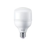 Philips Trueforce Torch Beyaz 6500K 20 W Jumbo Ampul