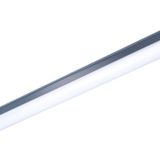 Philips WT066C NW LED45 L1500 PSU TB Led Etanj Armatür