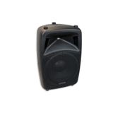 PHONIC JUBI P15 15" Pasif 2 Yollu Hoparlör 700/1400W RMS | Kabin Hoparlör
