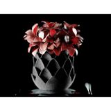 Phyllara Dekoratif Saksı - Siyah Modern Modern Bitki Saksısı 8,5 cm - 95x95x85mm