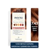 Phyto Color Amonyaksız Kalıcı 7.43 Kumral Bakır Dore Doğal İçerikli Bitkisel Saç Boyası