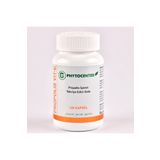 PHYTOCENTER Propolis İçeren 120 Kapsül