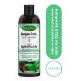 Phytoflora Isırgan Otu Ve Çam Terebentin Özlü Bitkisel Şampuan 400 Ml