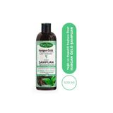 Phytoflora Isırgan Özlü Çam Terebentin Özlü Bitkisel Şampuan
