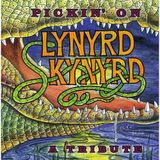 Pickin on Lynyrd Skynyrd