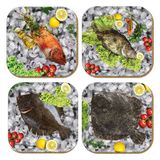 Pictor Gift Hediyelik Metal Mantar Tabanlı Fish Story Balıklı 4'lü Bardak Altlığı Seti