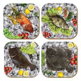 Pictor Gift Hediyelik Metal Mantar Tabanlı Fish Story Balıklı 4'lü Bardak Altlığı Seti