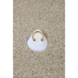 Piercing Cerrahi Çelik Piercing Halka Kıkırdak Septum Tragus Conch Helix Gold Renk Top Çap 2,50 mm - 12 mm