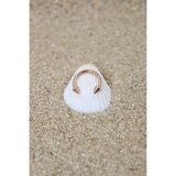 Piercing Cerrahi Çelik Piercing Halka Kıkırdak Septum Tragus Conch Helix Rose Renk Spayk Halka - 6 mm