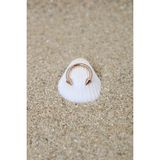 Piercing Cerrahi Çelik Piercing Halka Kıkırdak Septum Tragus Conch Helix Rose Renk Spayk Halka - 8 mm