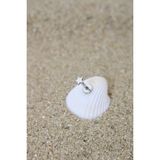 Piercing Cerrahi Çelik Piercing Kıkırdak Tragus Conch Helix Silver Renk 3 mm Yıldız Labret - 8 mm