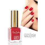 Pierre Cardin 049 Studio Nails Oje