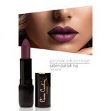 Pierre Cardin 244 Red Wine Porcelain Edition Lipstick