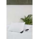 Pierre Cardin 2'li Anti-Stress Yastık 900 gr - 50 × 70 cm