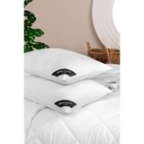 Pierre Cardin 2'li Pure Cotton Yastık 950 gr
