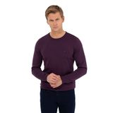 Pierre Cardin 50257290-VR038 Mor Erkek Kazak