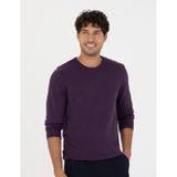 Pierre Cardin 50270179-VR038 Mor Erkek Kazak