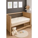 Pierre Cardin BabySoft Organik Bebek Sünger Yatağı 9 CM