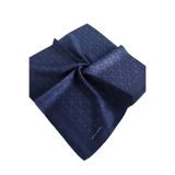 Pierre Cardin ELEGANS EŞARP 1090750-921