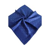 Pierre Cardin ELEGANS EŞARP 1090750-924