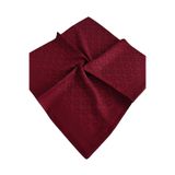 Pierre Cardin ELEGANS EŞARP 1090750-941