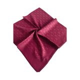 Pierre Cardin ELEGANS EŞARP 1090750-942