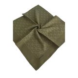 Pierre Cardin ELEGANS EŞARP 1090750-952