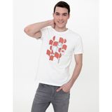 Pierre Cardin Erkek Ekru Slim Fit Bisiklet Yaka Tişört 50249822-VR019 - XL