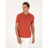 Pierre Cardin Erkek Kiremit Tişört Basic 50325323-VR031