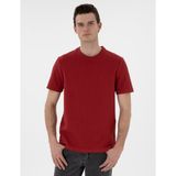 Pierre Cardin Erkek Nar Çiçeği Regular Fit Tişört 50302581-VR239 - XL