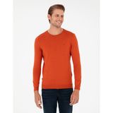 Pierre Cardin Erkek Turuncu Slim Fit Bisiklet Yaka Basic Triko Kazak 50296621-VR051